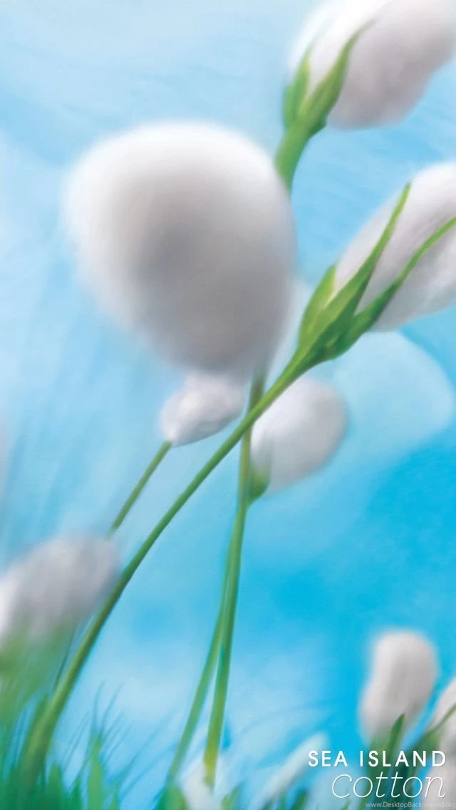 Refresh With A Breath Of Fresh Air! Get Signature Mobile ...