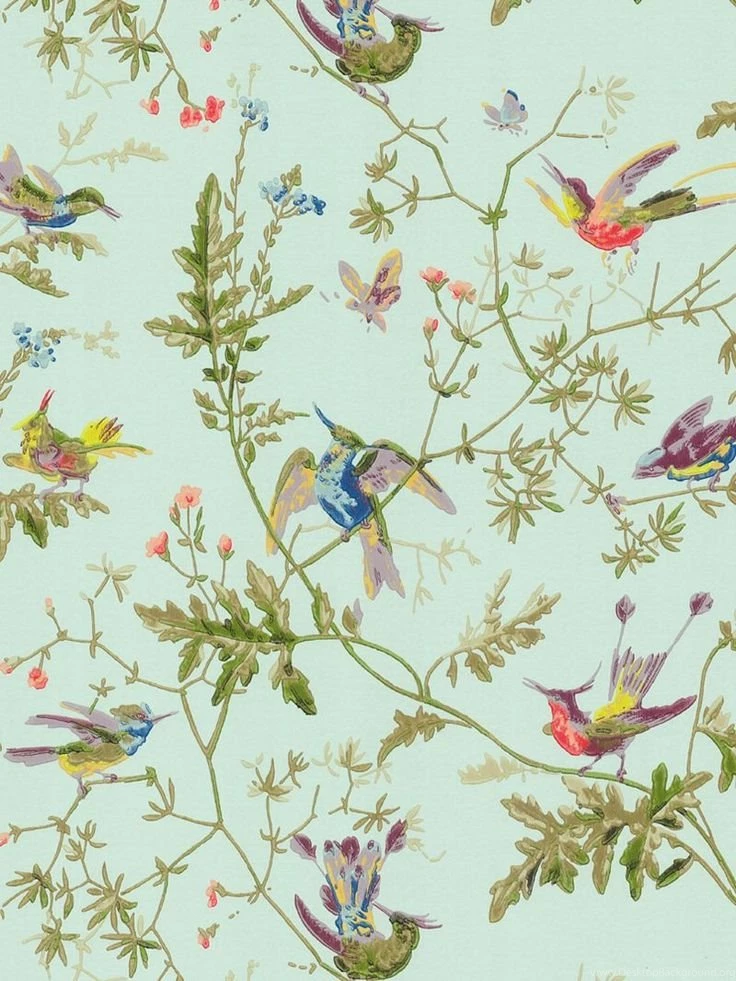 Cole & Son Hummingbirds Wallpapers Desktop Background