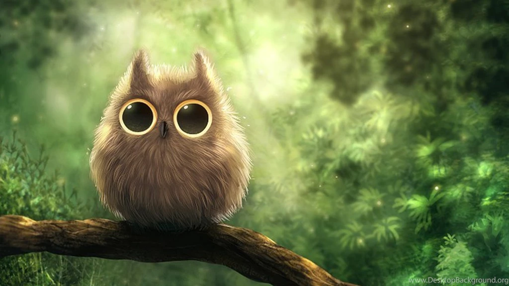 Wallpapers Owl Cute 1280x720