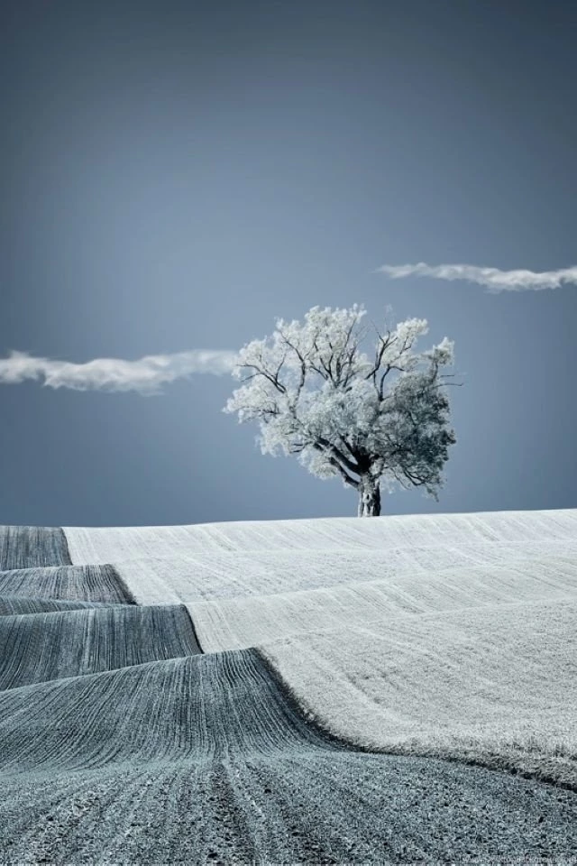 Free Iphone Wallpapers Hd