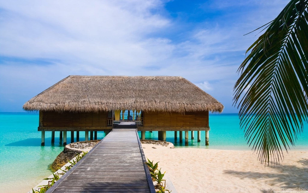 Palm Beach Houses Wallpaper.