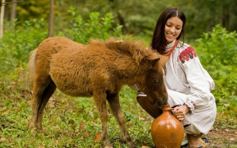 Women,models Women Models Jar Drink Donkey Ponies 1920x1200 ...