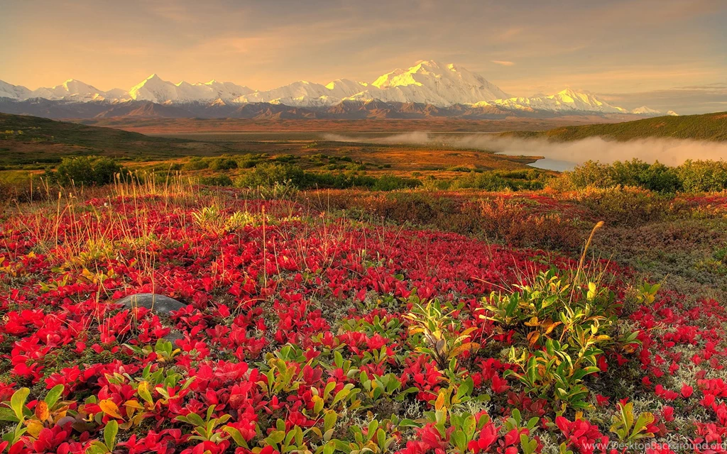 Amazing Nature HD Wallpapers 1920x1200 (56) Hebus.org High ...