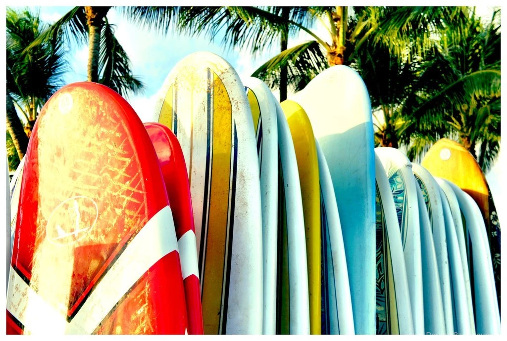 Surf Favourites By Wimpy3 On DeviantArt