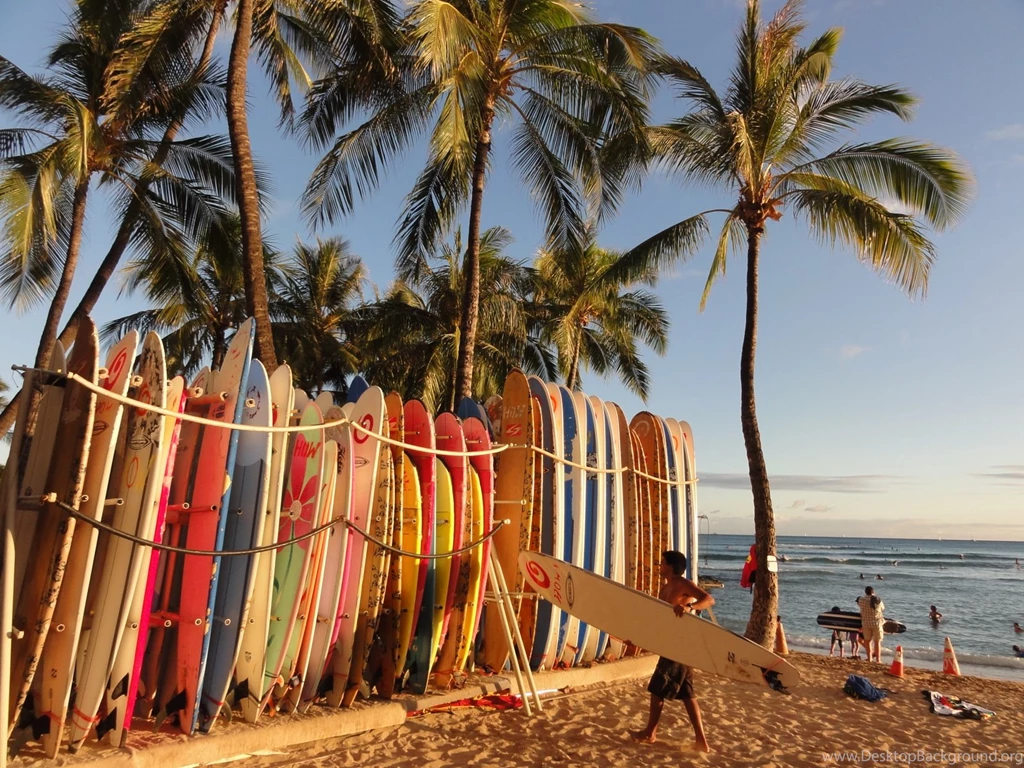 Surf Shack Radio