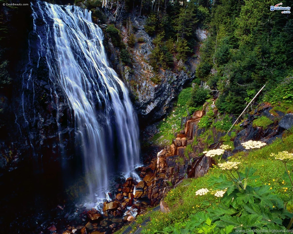 Amazing Nature Wallpapers 171