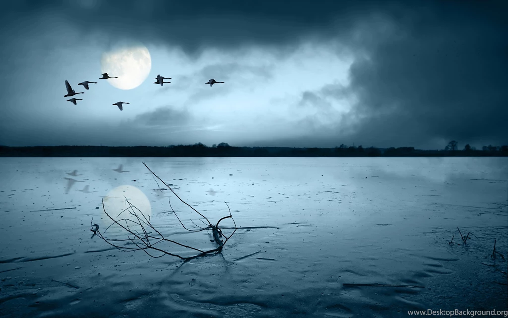 Nature Wallpapers 13