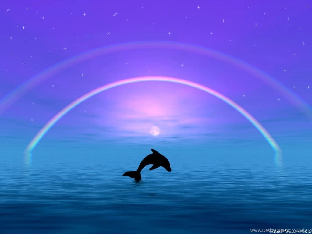 Dolphin Wallpapers Collection (36+)