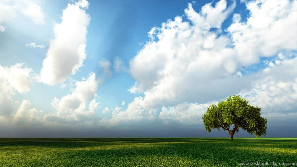 Lonely Oak, Tree, Field, Sky, Cloud, Nature, 1920x1080 HD ...