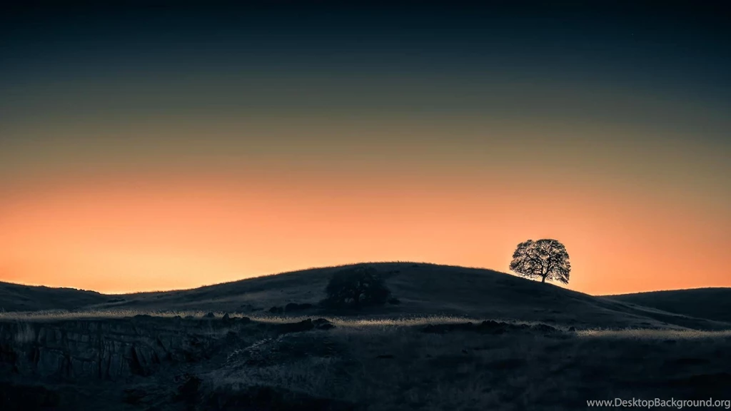 Lone Oak Tree At Sunset Wallpapers   (