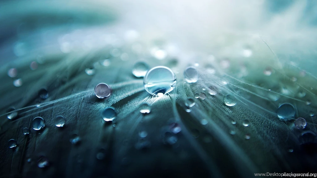 Here Are Some More Stunning HD Wallpapers For Your Desktop ...