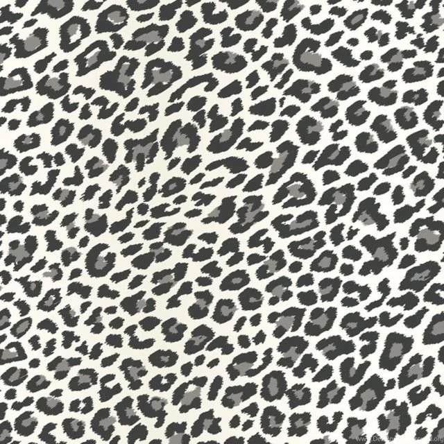 Wallpapers I Need Collection On EBay!