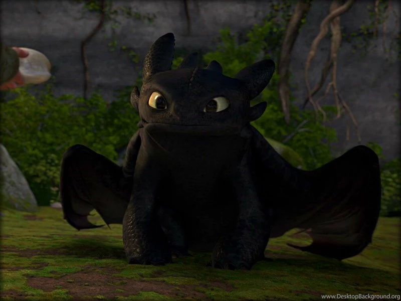 ★ Toothless ☆ Toothless The Dragon Wallpapers (33059179) Fanpop