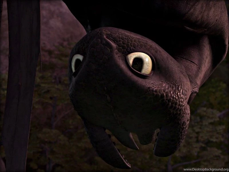 ★ Toothless ☆ Toothless The Dragon Wallpapers (32987038) Fanpop