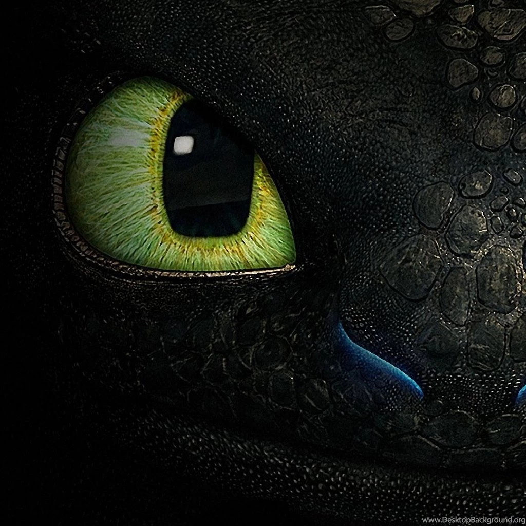 Ipad Wallpapers How To Train Your Dragon Toothless My Hd