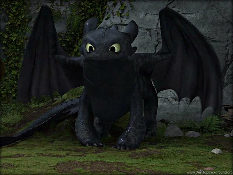 ★ Toothless ☆ Toothless The Dragon Wallpapers (32987031) Fanpop