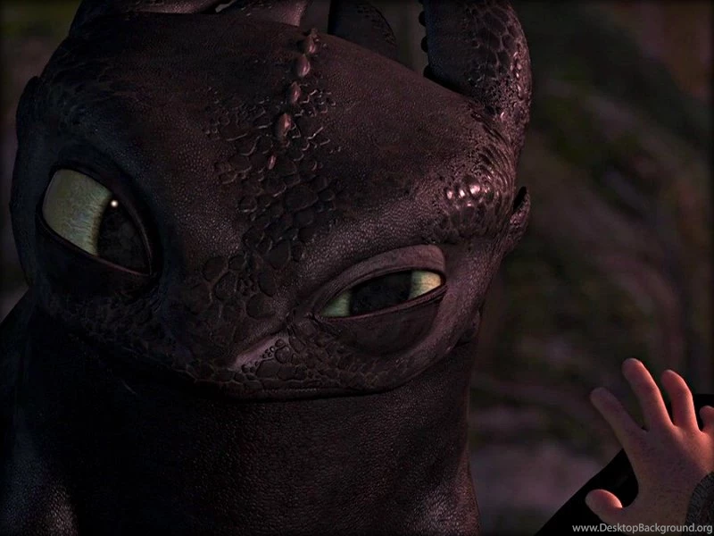 ★ Toothless ☆ Toothless The Dragon Wallpapers (32987033) Fanpop