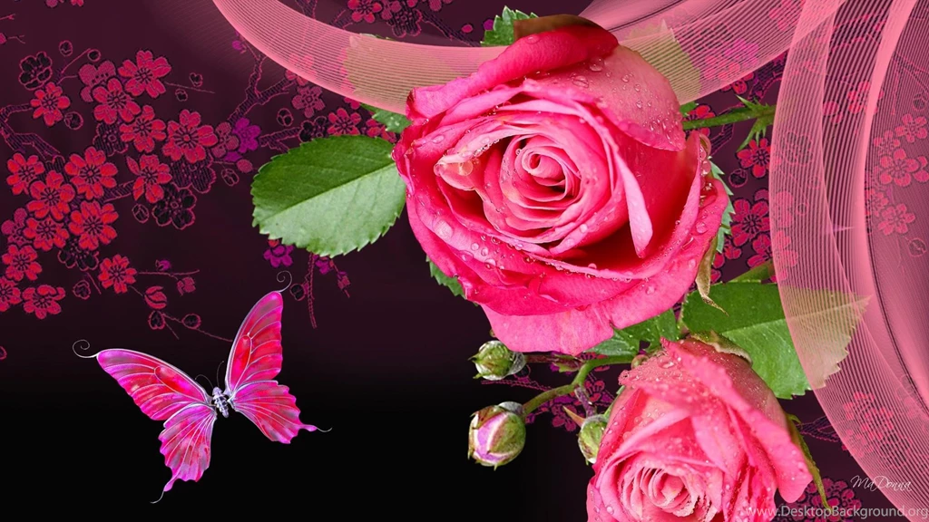 Veil Of Pink Roses HD Desktop Wallpapers : Widescreen : High ...