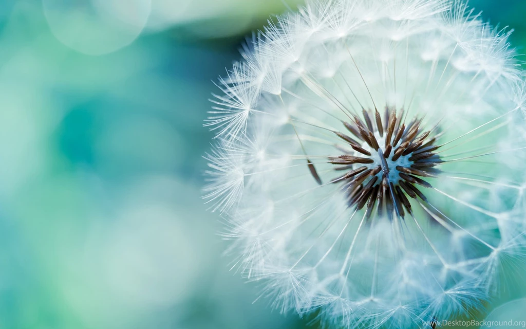 Tumblr Wallpapers Hd Collection (29+)