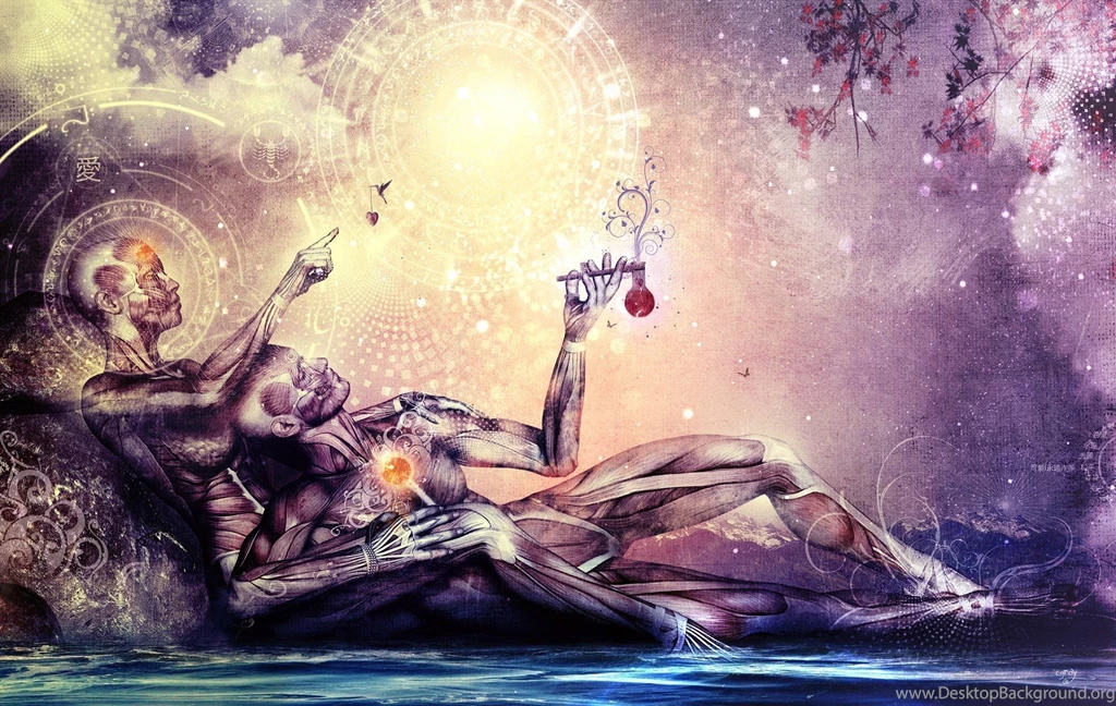 Desktop Wallpapers Humor And Fun Welcome To The DMT Nexus