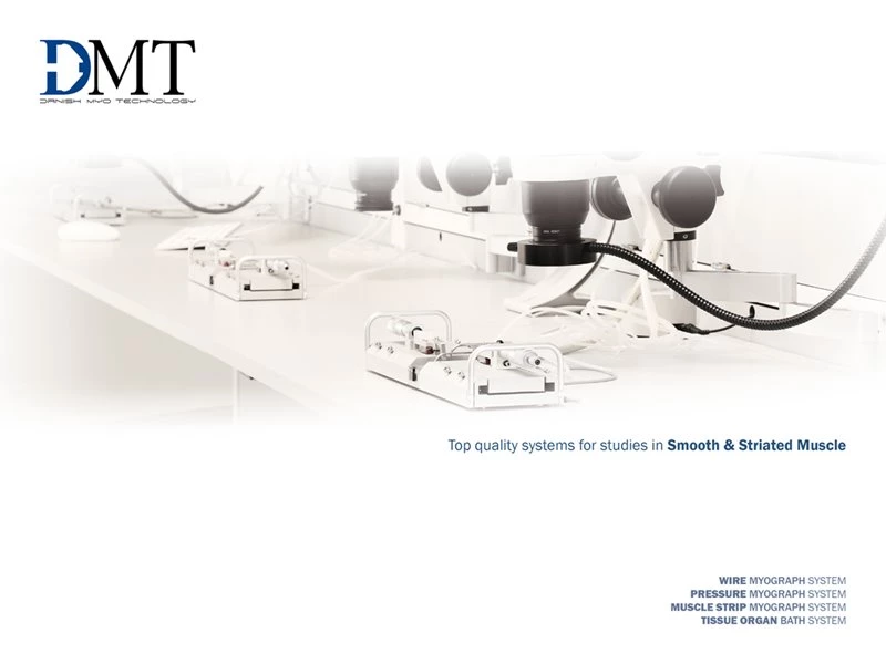 DMT Media