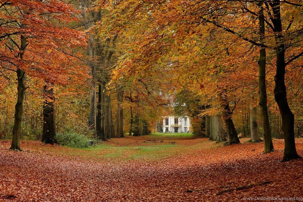 Free Autumn Desktop Wallpapers Wallpapers HD Base