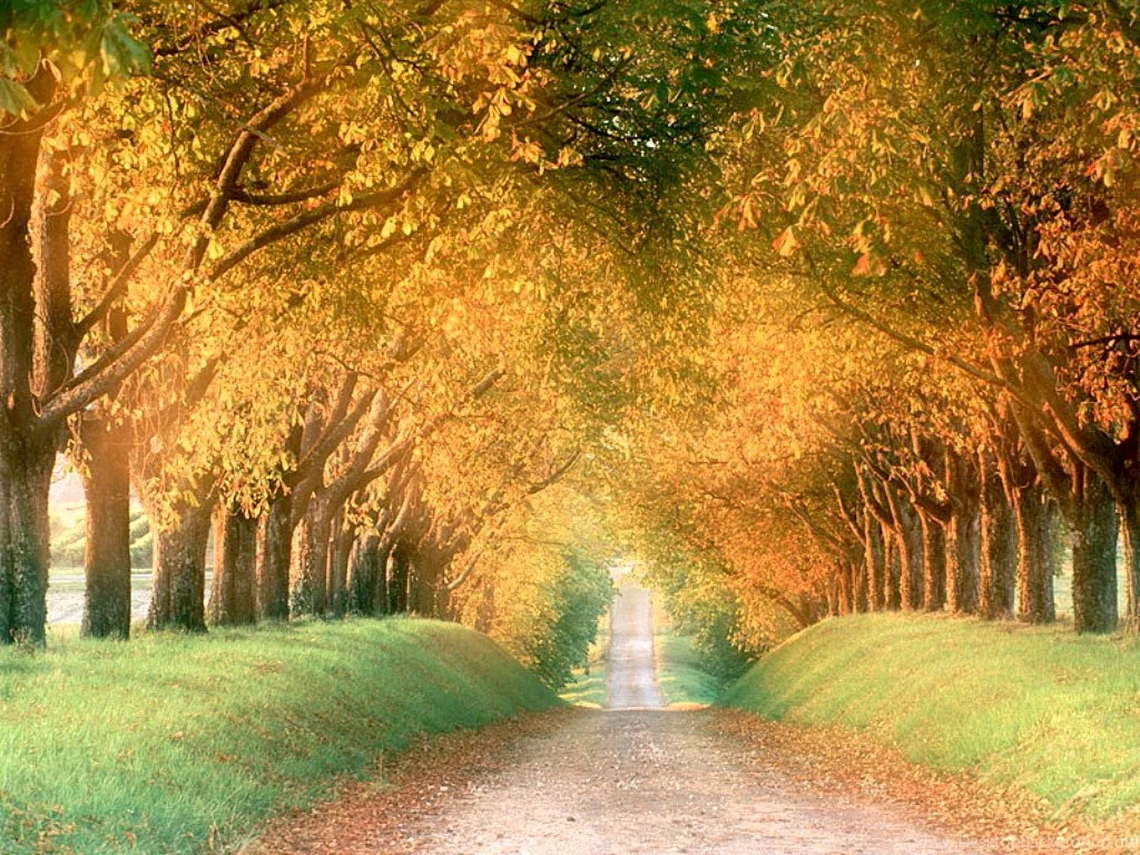 Autumn Wallpapers 058, Free Desktop Wallpapers, Cool Wallpapers