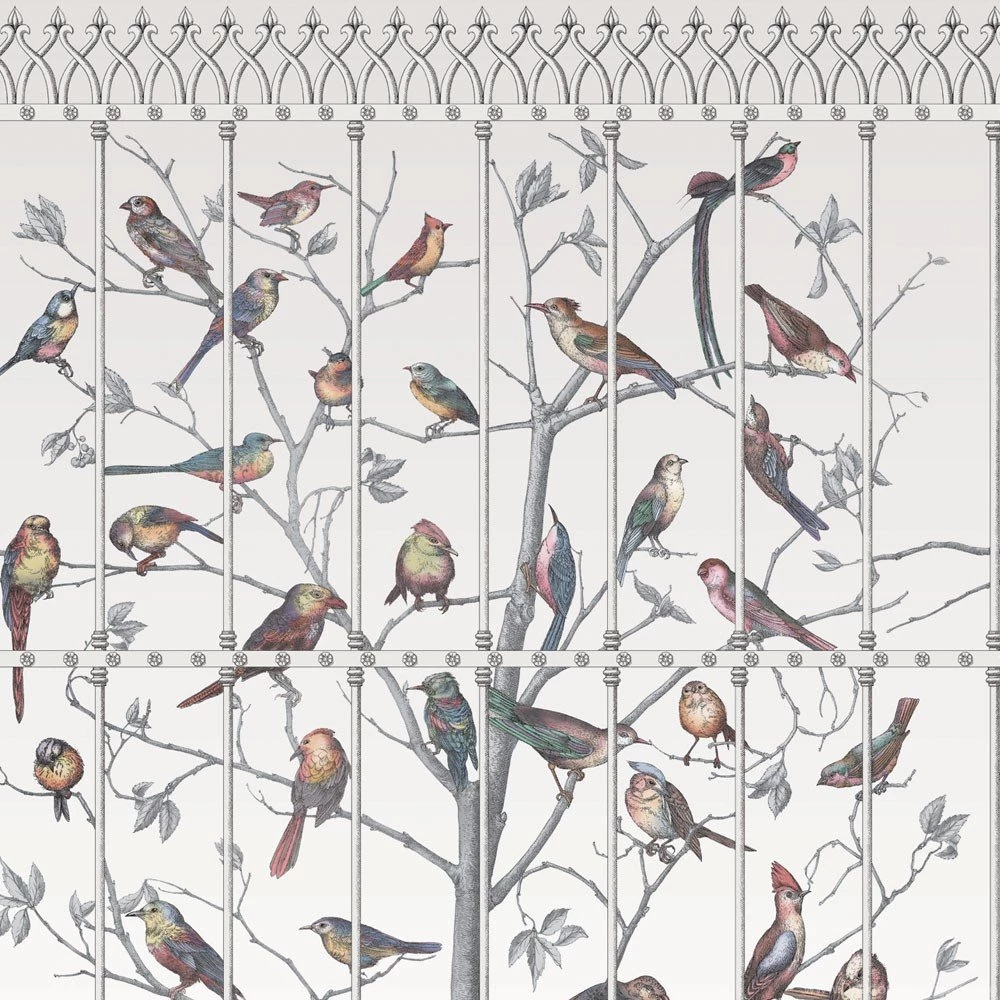 Fornasetti Uccelli Wallpapers