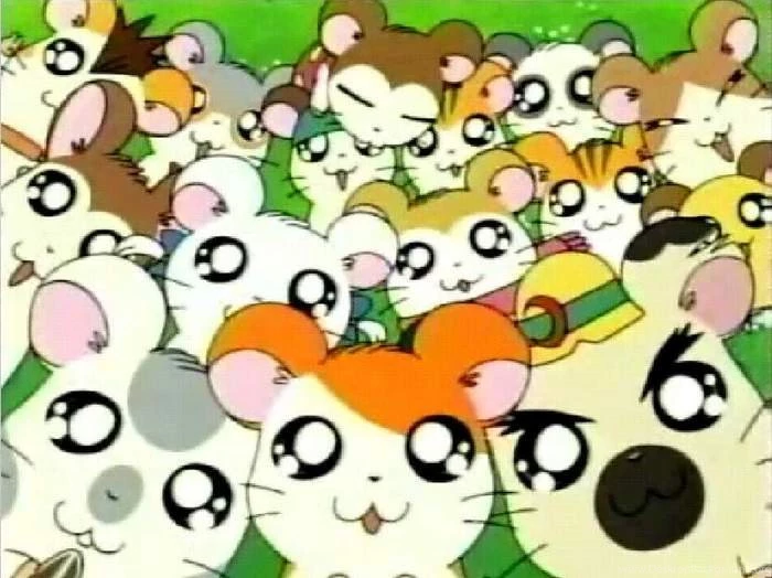 Hamtaro