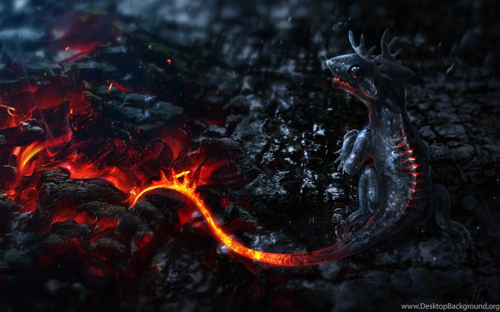 Wallpapers Lava Little Dragon 1920 X 1200 Fantasy Fairy Dragon ...