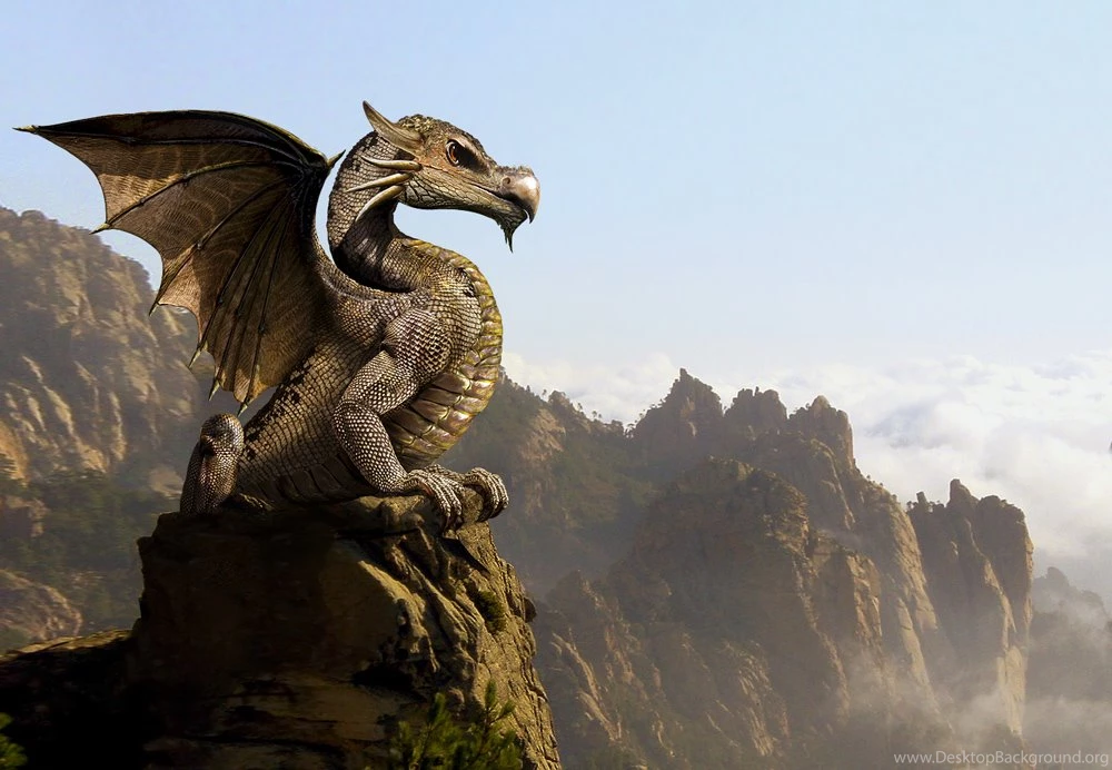 Little Dragon Wallpapers From Dragons Wallpapers