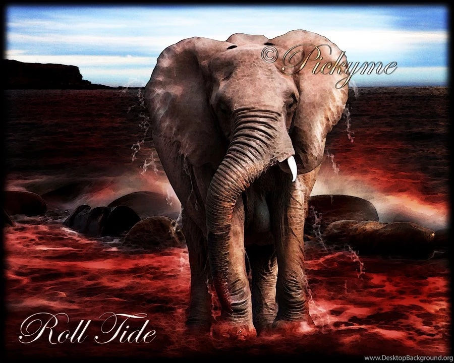 Roll Tide Backgrounds   Wallpapers Zone
