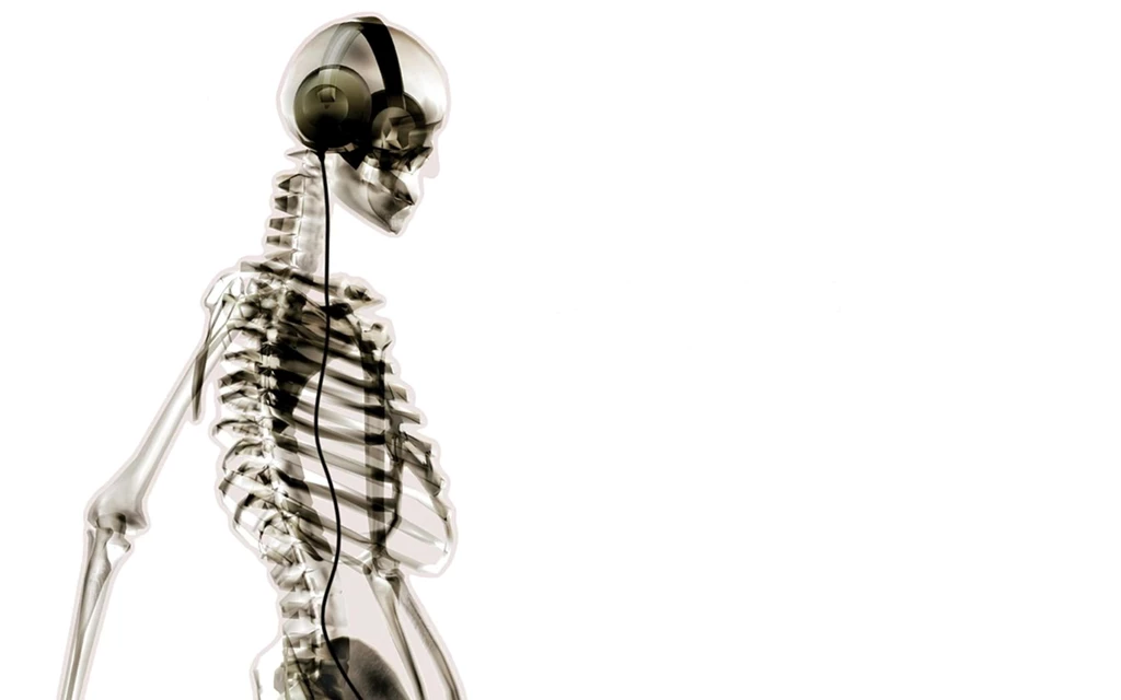 Download Skeleton Wallpapers 240x320