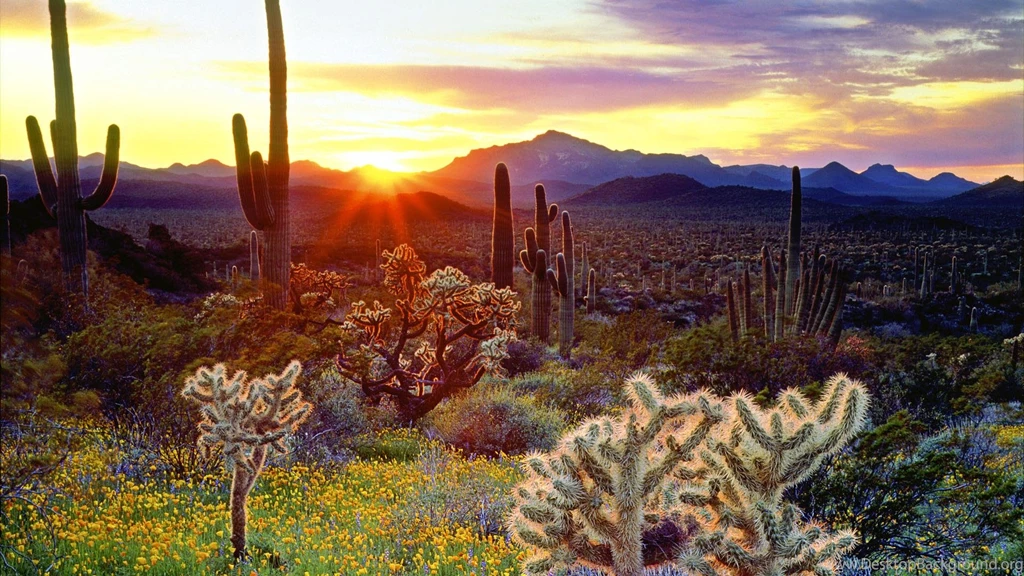 The Best Desert Sunset Ever! >> HD Wallpaper, Get It Now!
