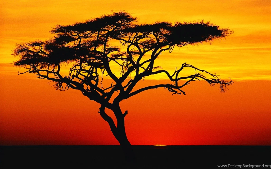 Desert Sunset Wallpapers Widescreen Kemecer.com