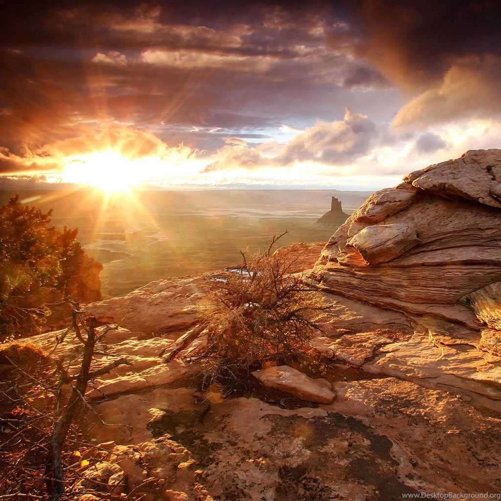 Sunset Desert Wallpapers 1920x1080 Sunset Desert