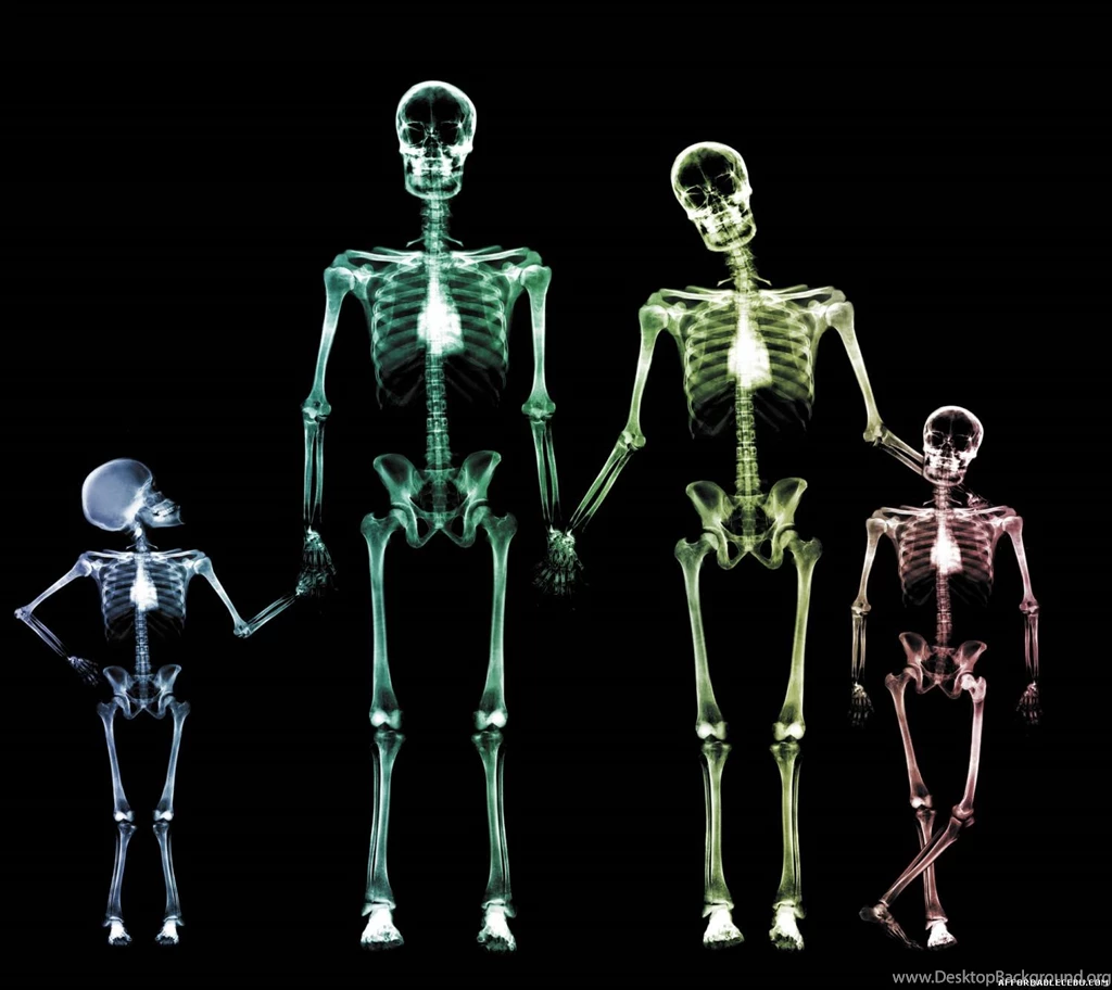 Incredible Human X Ray Pictures   Photoshop / Graphics 626