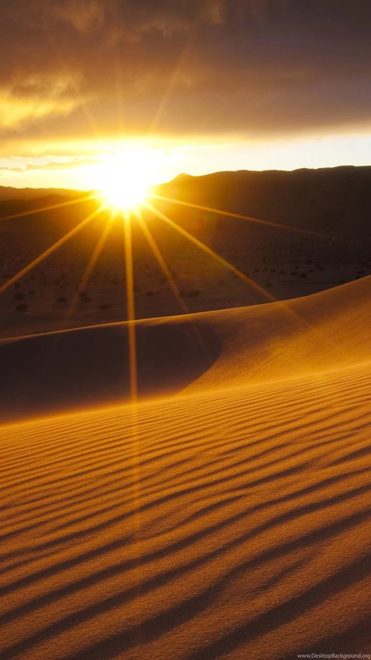 Desert Sunset iPhone 6 Wallpapers