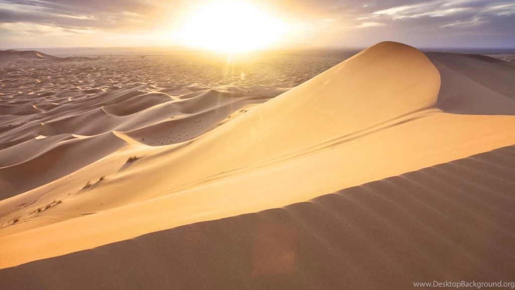 Beautiful Desert Sunset (