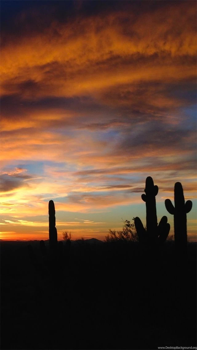 Desert Sunset iPhone 5 Wallpapers (640x1136)