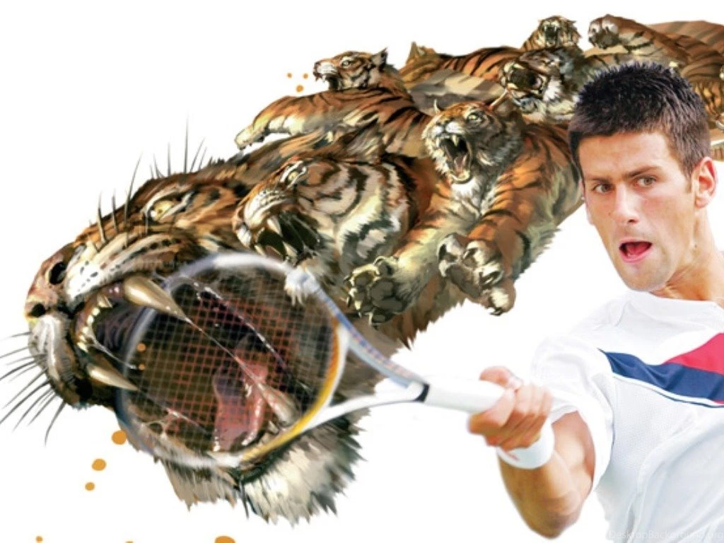 Djoko   Novak Djokovic Wallpapers (15320493)   Fanpop