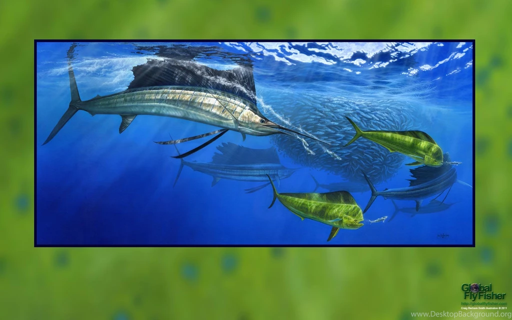 Sailfish And Dorado