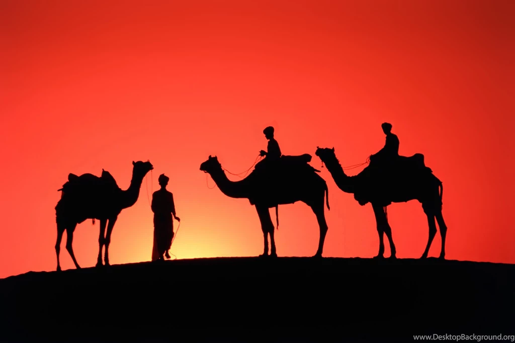 Desert Sunset Sunlight Wallpapers