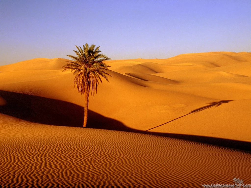 Desert Wallpapers Uwallo