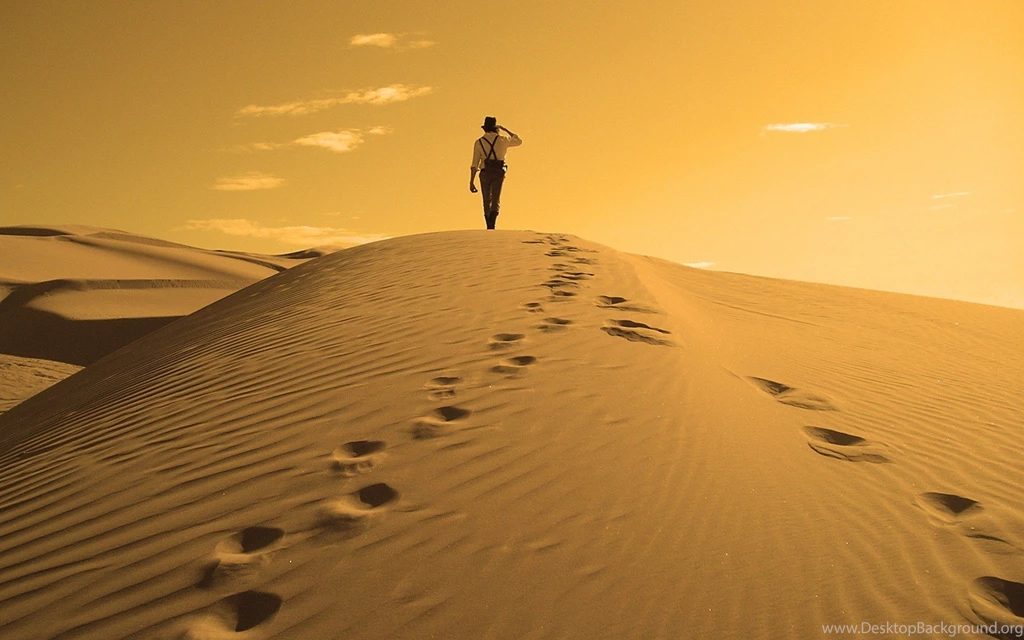 Wilderness And Desert Wallpapers