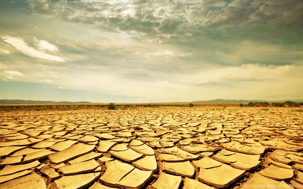 Desert Wallpapers