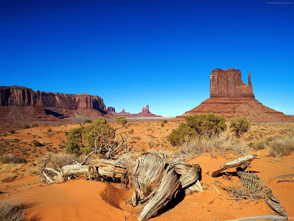 Nature Wallpaper: Desert Widescreen Wallpapers Phone HD Quality ...