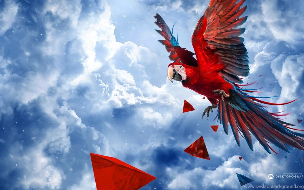 Parrot Blue Sky Wallpapers