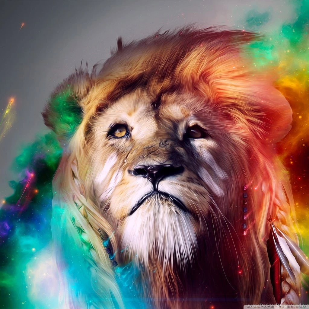 Beautiful Lion HD Desktop Wallpapers : Widescreen : High Definition ...