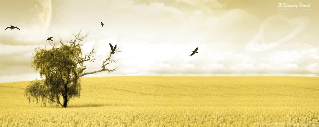 WideScreen Dreamy World 2nd By CaptureAYE On DeviantArt